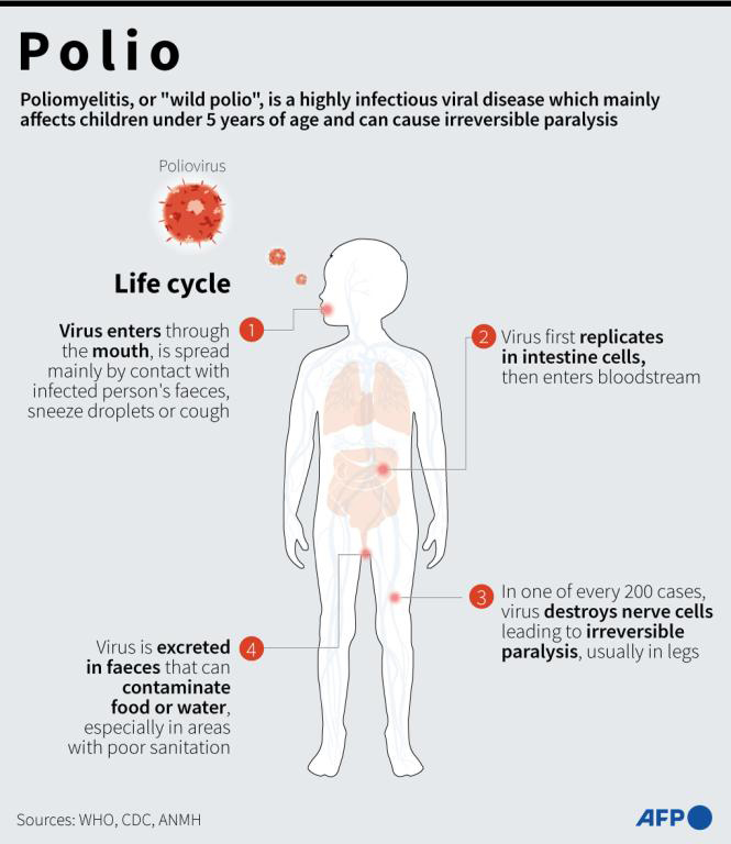 polio-transmission-who-emro-mass-polio-vaccination-campaign-to
