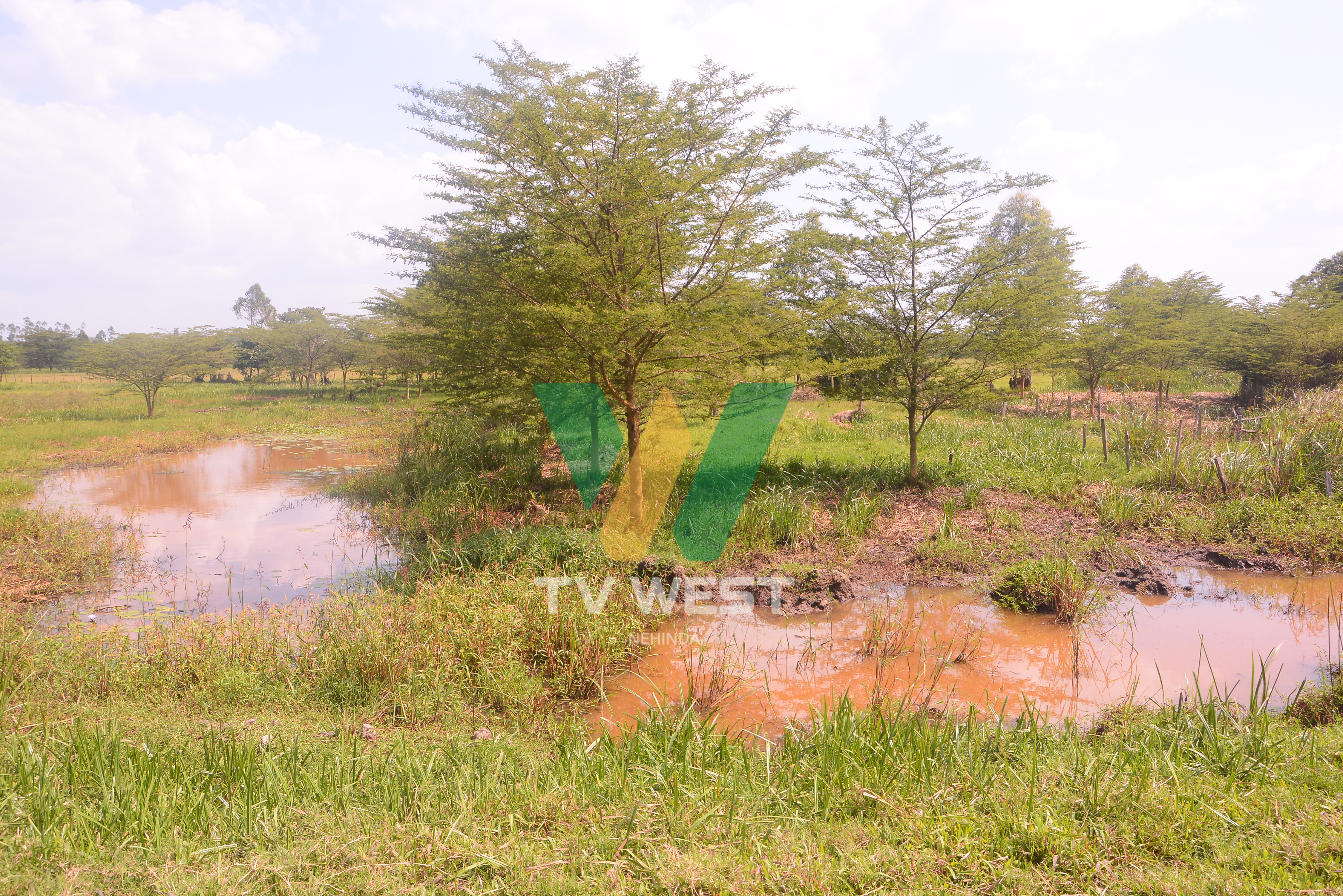 Hiika zirikurenga 20 z’ebisharara ebyacwekyereziibwe omuri Kamwenge nizo zirikuza kugaruzibwaho.