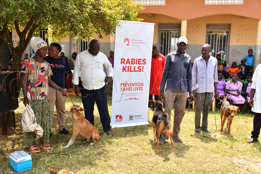 Some of the residents who turned up with their dogs for vaccination during the launch of the rabies vaccination campaign at Nakajjo Health Centre III in Buyengo Town Council, Jinja District, on July 7, 2026. Looking on is Samuel Kawuta (second left), the Assistant Resident District Commissioner of Jinja. (Photo by Donald Kiirya)