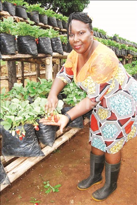 Azza shows off her ripe strawberries