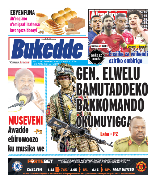New Vision E-Paper