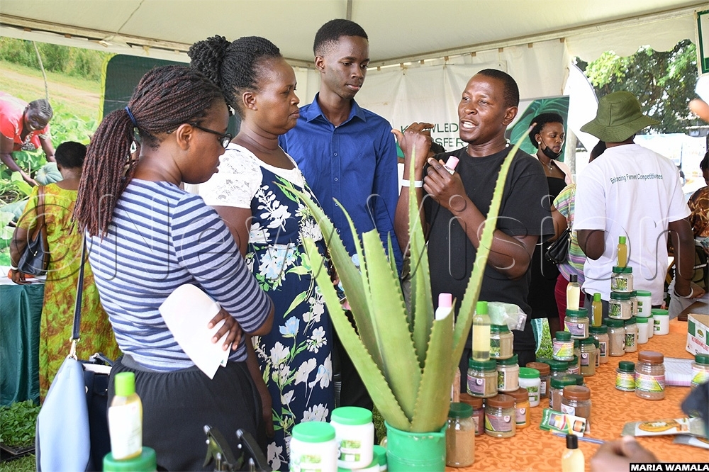 🔴 Harvest Money Expo 2024 enters second day