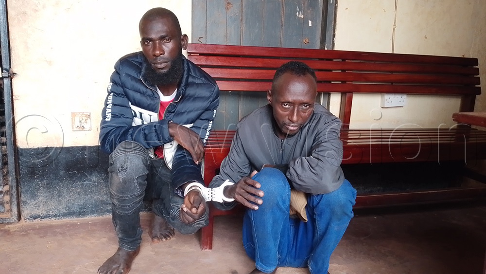 Steven Kaboneka, aged 42, of Kampala City and Sulayiman Kalyango, aged 39, a resident of Maganjo in Nabweru division, were arrested while in a taxi number UBD 862E, heading to Kampala. (Photo by Wasswa B. Ssentongo)