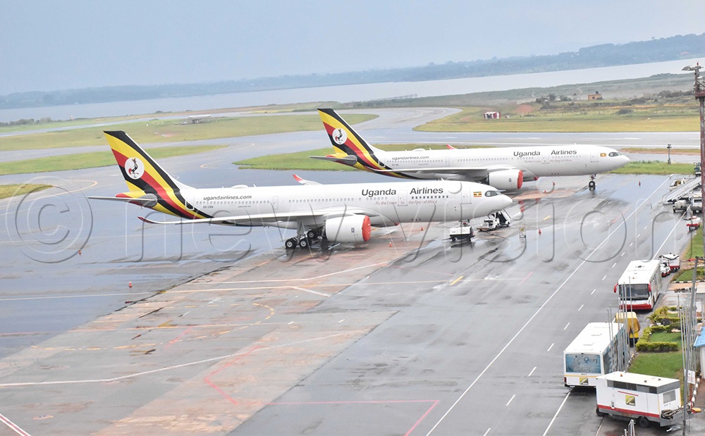 Entebbe International Airport is located within Entebbe peninsula with abundant bird species that affect flight operations. (Credit: Julius Luwemba)
