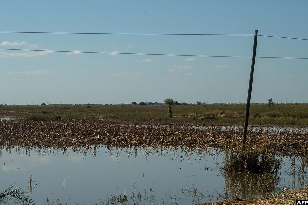 A general view of receded floodwater on corn and sugarcane fields near the town of 3 De Fevereiro, Mozambique on January 27, 2026