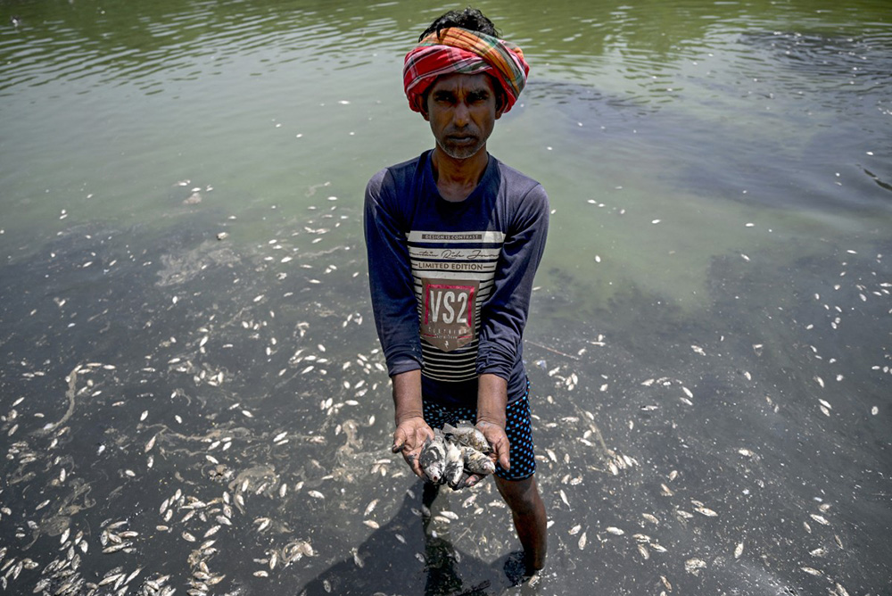 A worker shows dead fish at Sanjay Lake, which partially dried up amid a heatwave in New Delhi on May 22, 2026. (Photo by Arun SANKAR / AFP)