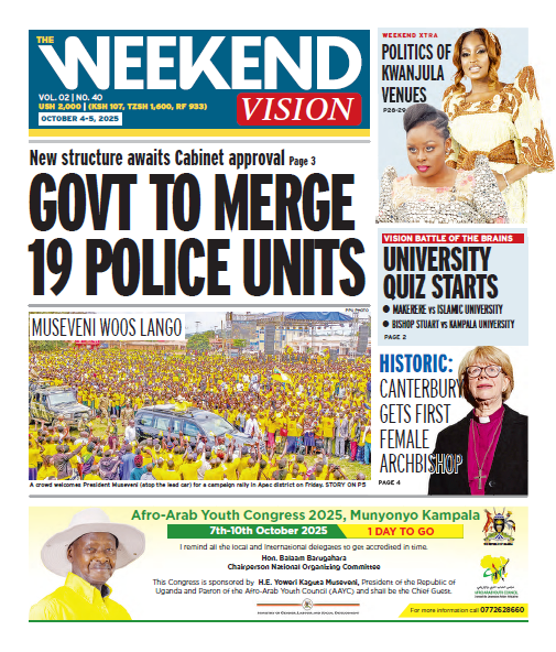 New Vision E-Paper