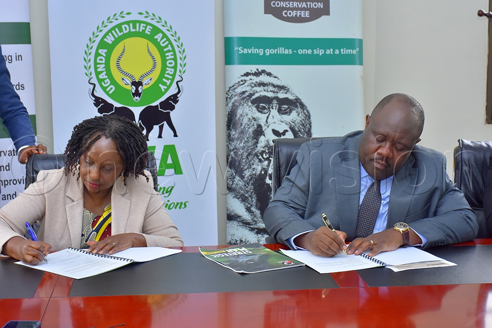 Dr Gladys Kalema (left) of CTPH and Dr James Musinguzi, the executive director of Uganda Wildlife Authority renewing a memorandum of understanding between the two parties in regards to gorilla conservation. (Photo by Julius Luwemba)