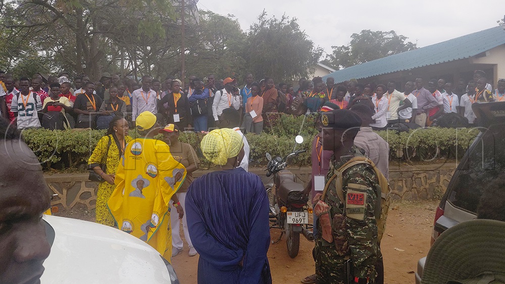 (Credit: Robert Adiga)