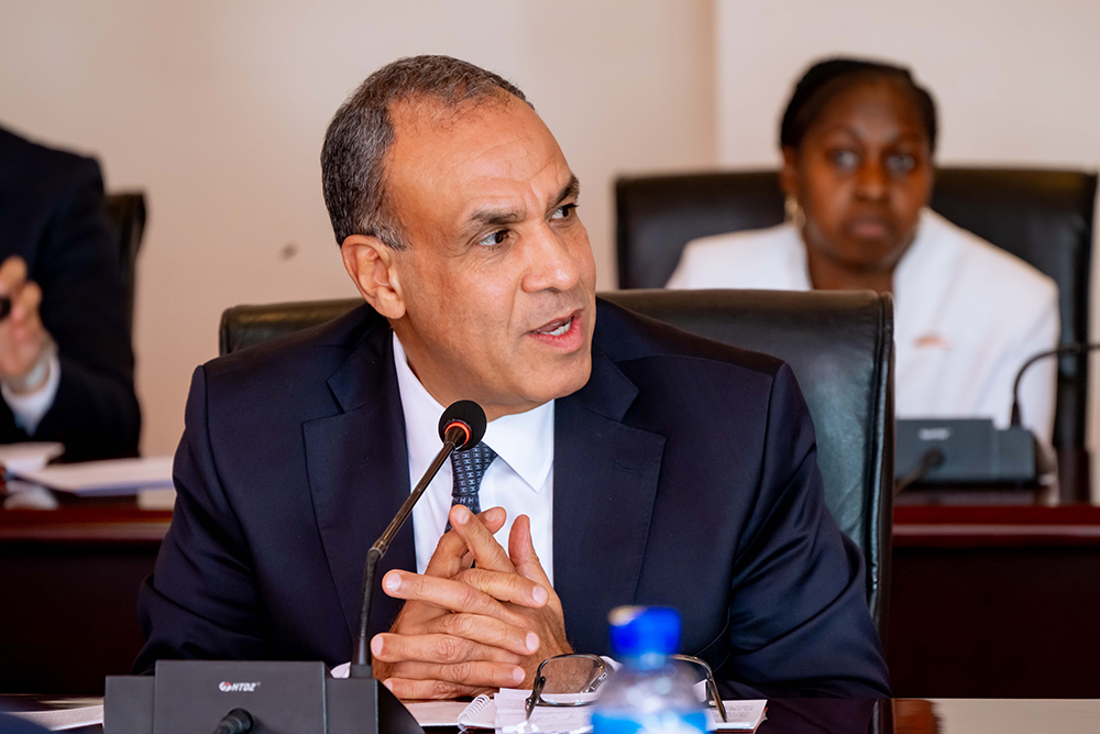 Egyptian foreign minister Dr Badr Abdelatty. (PPU photo)