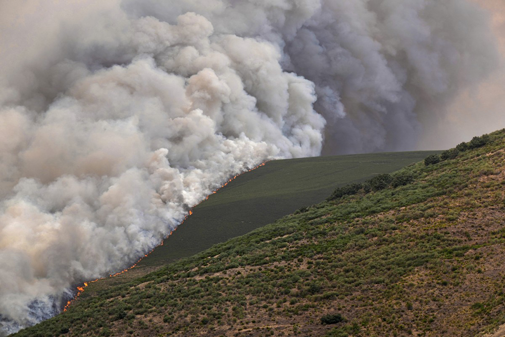 A wildfire burns in Castrillo de Cabrera, northwestern Spain, on August 16, 2025. Spain, now in its third week under a heatwave alert, is still battling wildfires raging in the northwest and west of the country, where the army has been deployed to help contain the blazes. The regions of Castilla y Leon, Galicia, Asturias and Extremadura remain the hardest hit. 