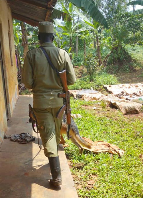 Police noted that the police dog, Judge, picked up a human scent and tracked it for approximately 300 metres from the crime scene, leading officers directly to the suspects&rsquo; residence. (Courtesy)