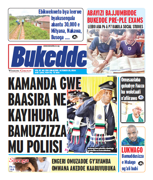 New Vision E-Paper
