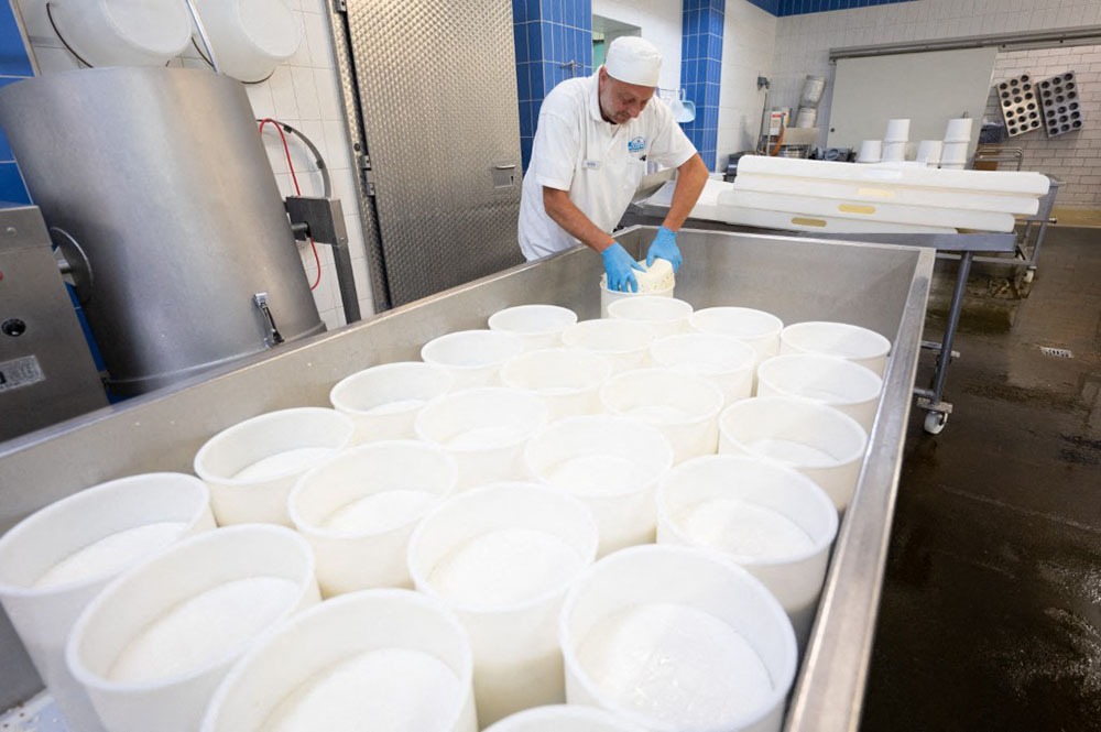 Uganda s Milk Set For Big Algeria Milk Market