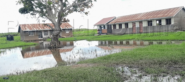 Essomero liri mu mazzi