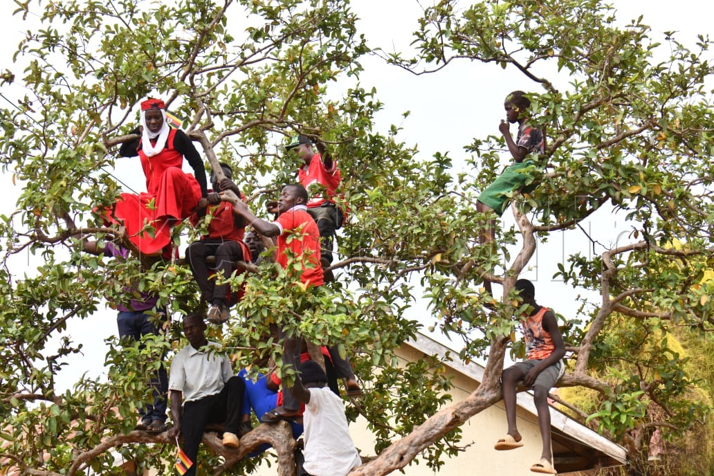 Abawagizi ba Bobi Wine nga bali ku miti waggulu