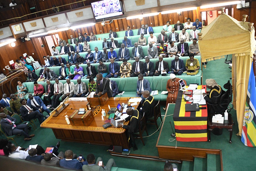 Members of Parliament in a Plenary session. (File photo)