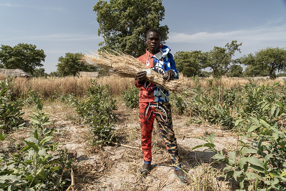 Issene Abdoulkasim, 23, an internally displaced young man, holds his voter card in one hand and his knife in the other, which he uses to harvest dry grass to build plant fences that allow him to finance his studies, in Birao on December 11, 2025. (Photo by Mariam KONE / AFP)