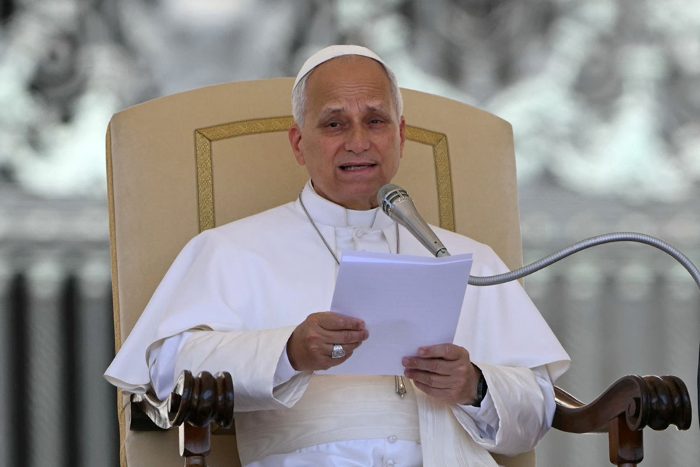 Pope Leo XIV addresses the crowd during the weekly general audience at St Peter's Square in The Vatican on June 17, 2026. (AFP Photo)