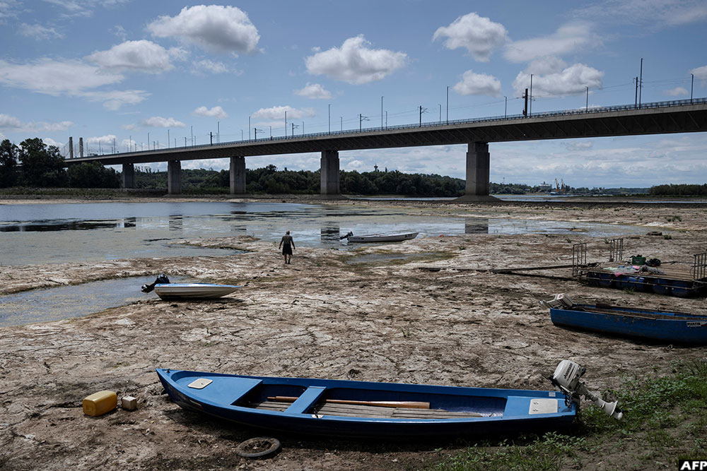 A fisherman tries to move his boat, blocked by algae on the bottom of the Danube river in front of the Calafat-Vidin bridge, connecting Bulgaria and Romania near the village Antimovo, southeastern Bulgaria