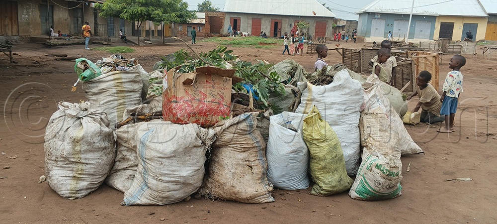 Sacks of garbage are heaped at Kigoro II market as residents wait for trucks to collect it. (Photo by Samuel Amanyire)