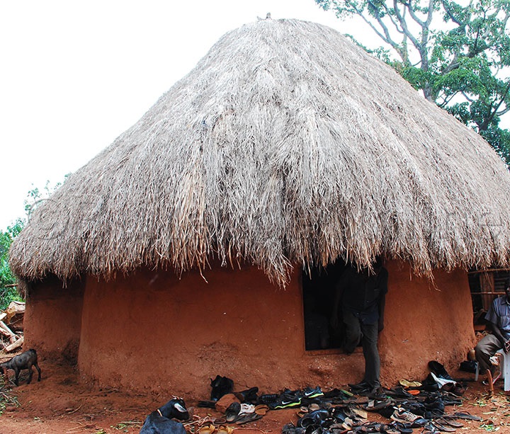 Erimu Ku Masabo Agali Ewa Mutyaba,