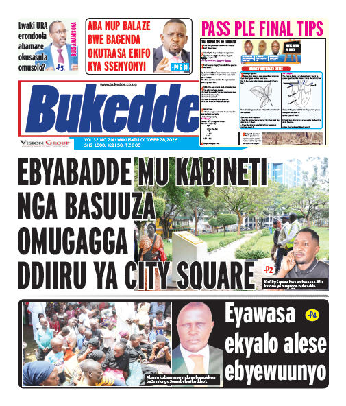 New Vision E-Paper