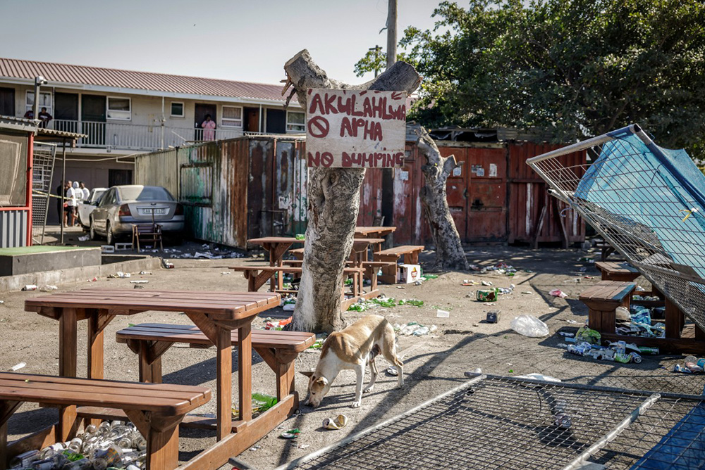A dog walks among debris at an entertainment venue in Somerset West on September 27, 2026, after armed gunmen stormed the premises. Gunmen killed at least 27 people in two mass shootings in South Africa's two main cities, police said on September 27, 2026. (Photo by GIANLUIGI GUERCIA / AFP)