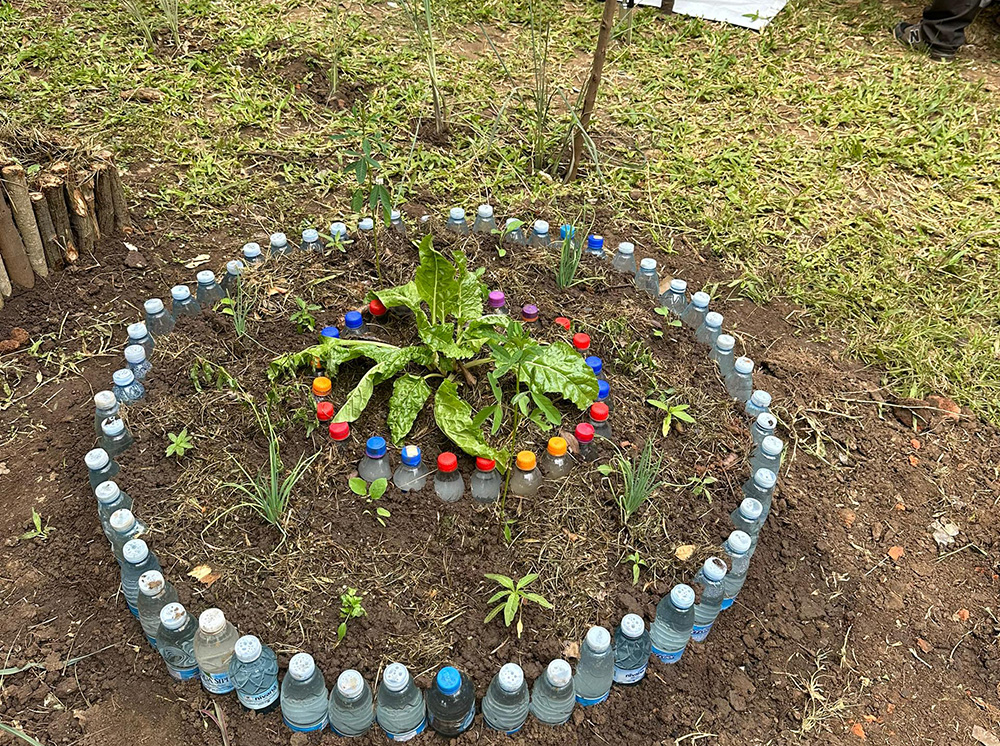 Making use of plastic bottles for irrigation. (Credit: PELUM Uganda)