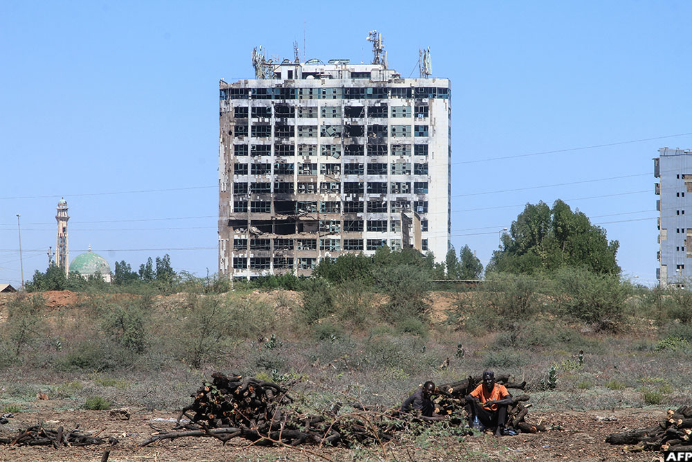 The Al-Sunut forest had long served as a haven for migratory birds and a vital green shield against the Nile's seasonal floods. (AFP)