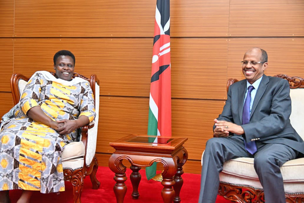 Vice-President Maj. (rtd) Jessica Alupo in Nairobi, Kenya for COMESA meeting.(Credit: VPPU)