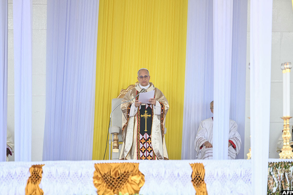 Pope Leo XIV leads the Holy Mass at Bamenda Airport in Bamenda