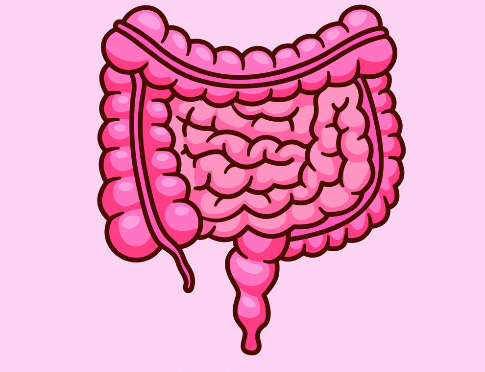Worms typically live in the intestines.