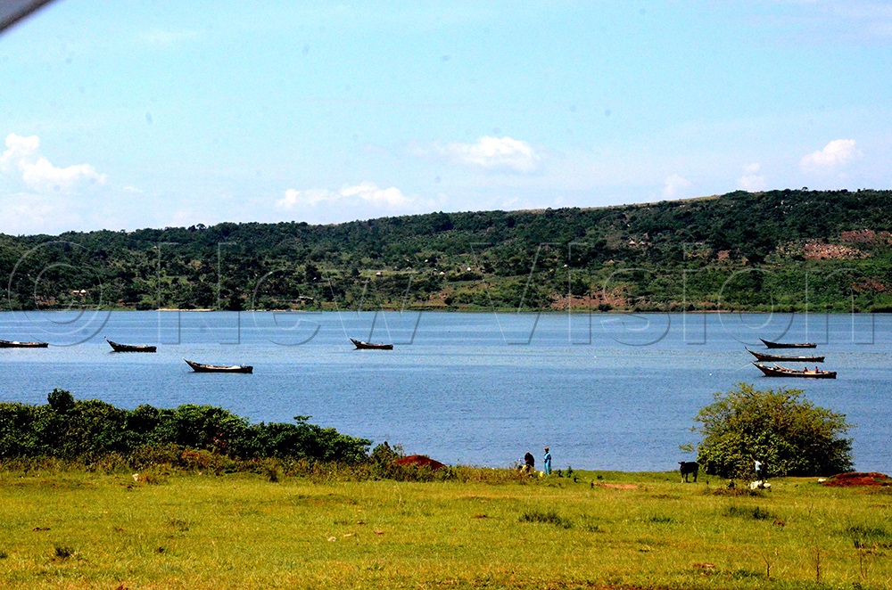 (Credit: Isaac Nuwagaba)