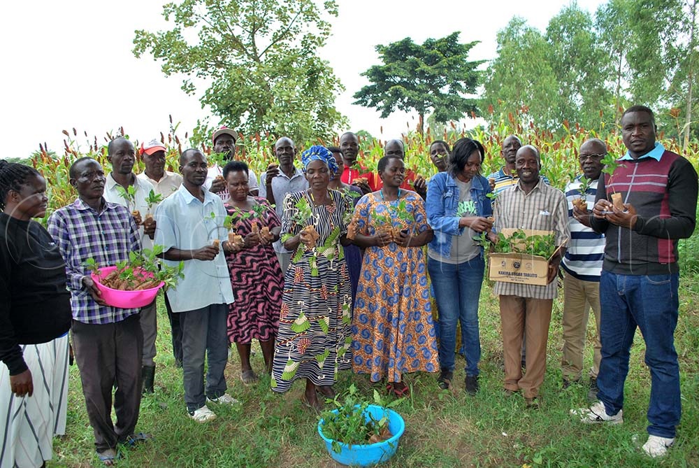 Linos Joseph Opio (extreme right) with farmers from Atapar who benefited from coffee seedlings. (Credit: Godfrey Ojore)