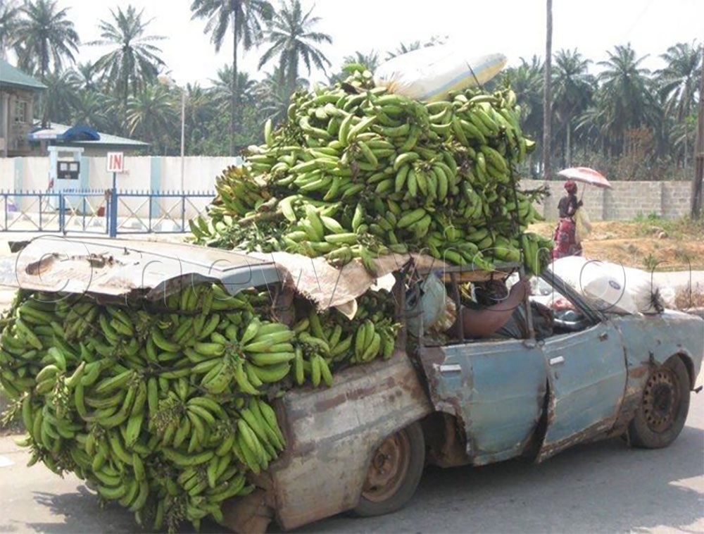 Matooke being transported to market.