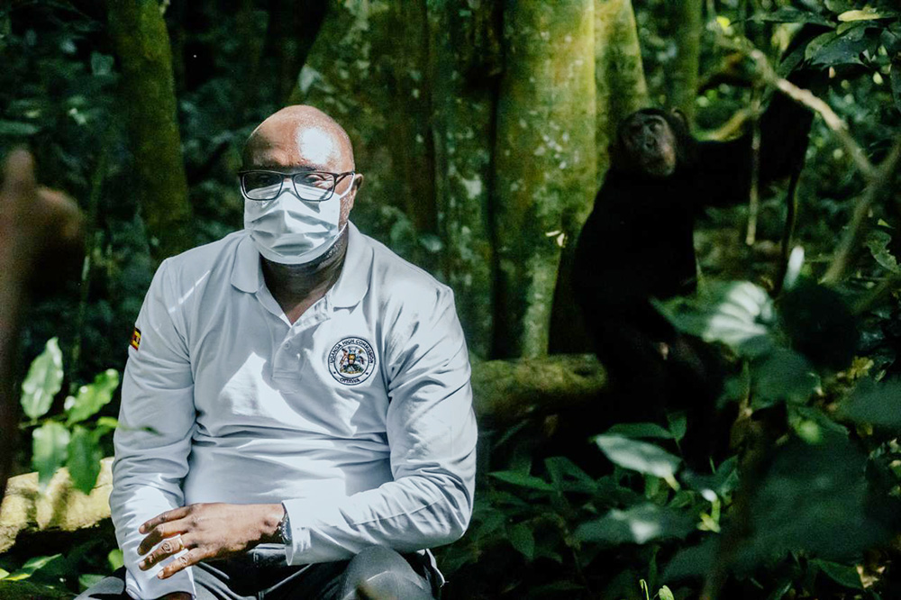 Ambassador Allan Kajik, Charg&eacute; d'affaires at the Uganda High Commission in Canada posing infront of a calm juvenile chimpanzee in Kibale National Park. (Courtesy photo)