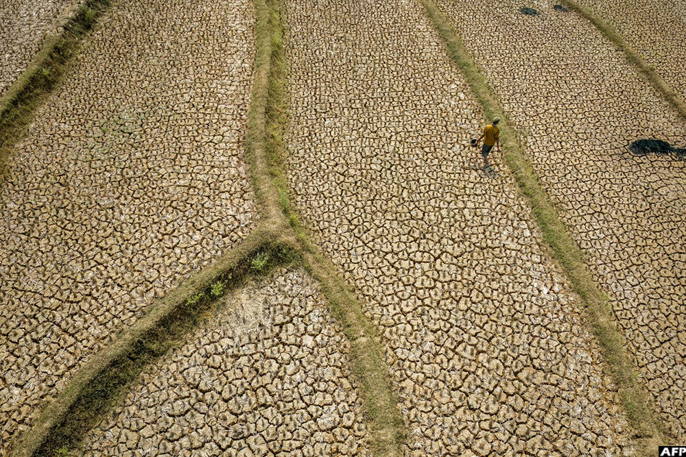 A villager walks across a dried-up rice field with cracked soil caused by a prolonged dry season at Wening Galih village in Bogor, West Java on August 28, 2026. (AFP)